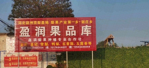 赵县鑫润梨果种植专业合作社的第1张图片的图片资料