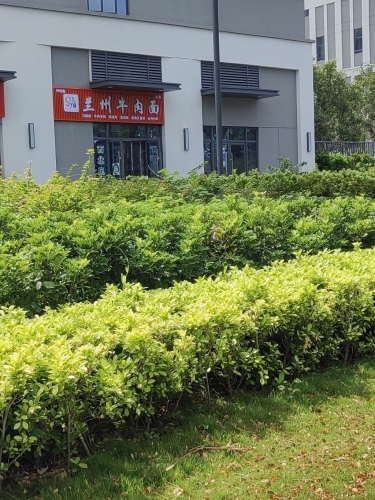伊穆鑫兰州牛肉面