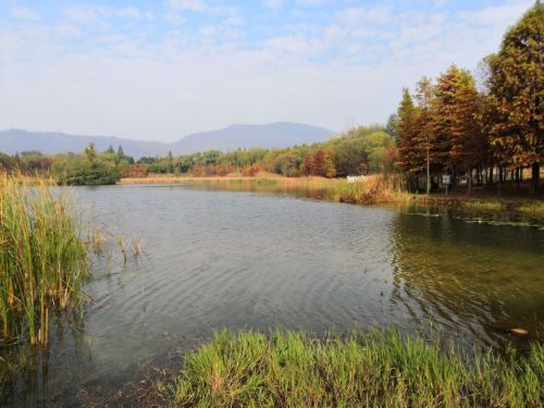 明孝陵景区-燕雀湖风景区