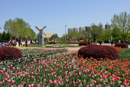 保定市植物园
