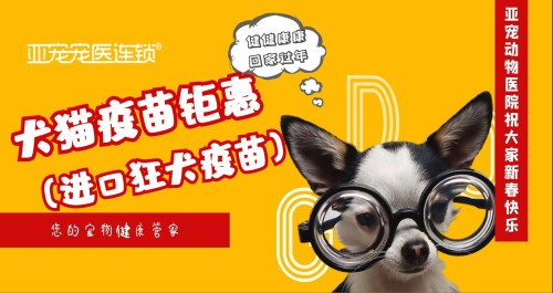 亚宠动物医院·24H猫科总院