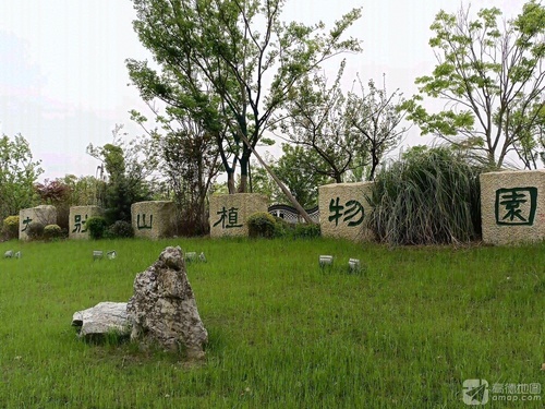 大别山植物园