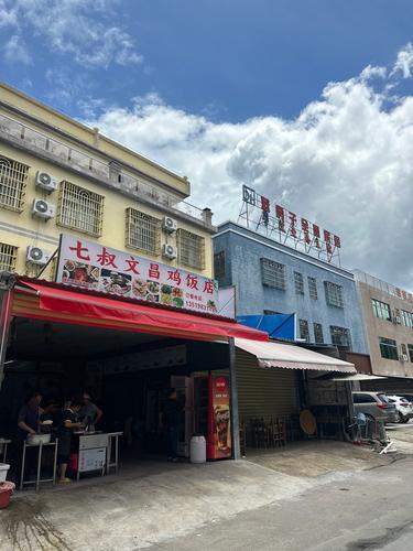 七叔文昌鸡饭店