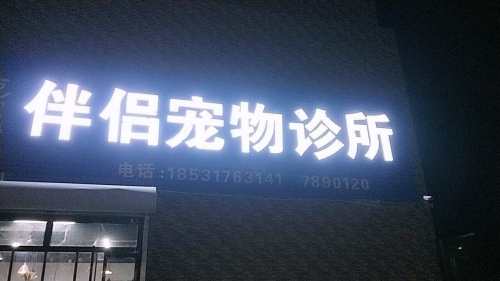 伴侣宠物诊所