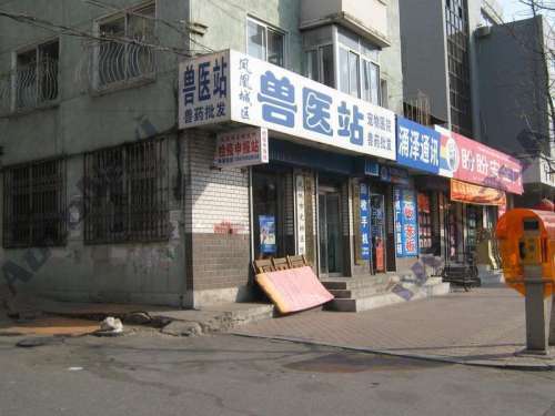 凤城市宠物医院