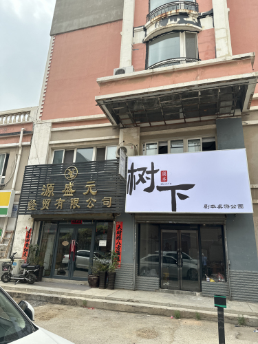 沈阳市树下剧本桌游公园
