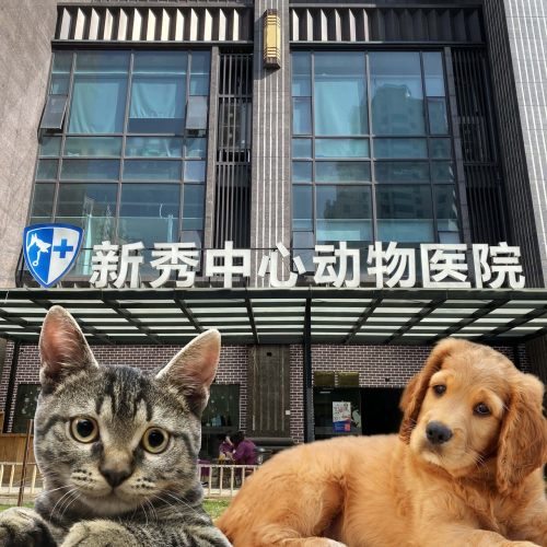 新秀中心动物医院