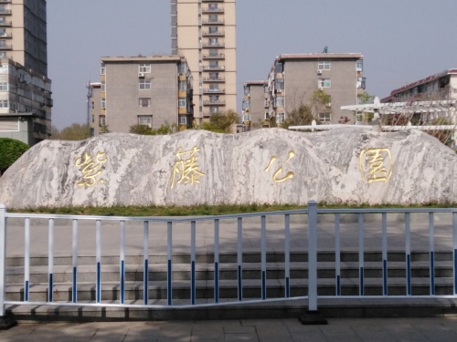 紫藤公园
