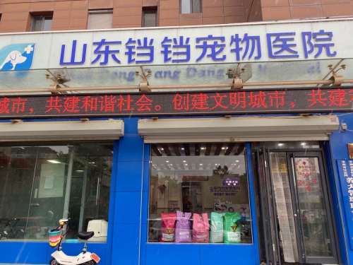 山东铛铛宠物医院