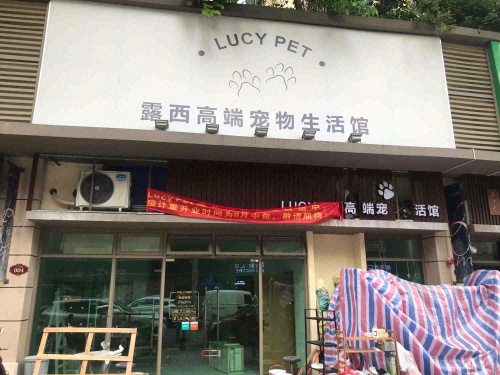 露西宠物医院