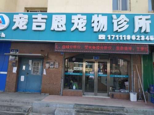 宠吉恩宠物诊所