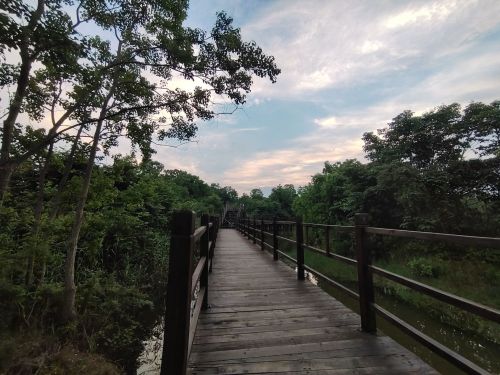 会仙花海景区