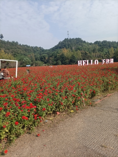 山地皇花海公园