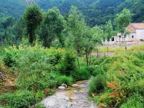 喇叭沟原始森林风景区