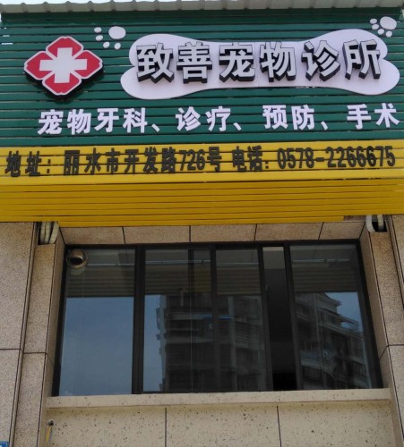 致善宠物诊所