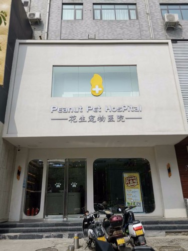 花生宠物医院(陇海店)