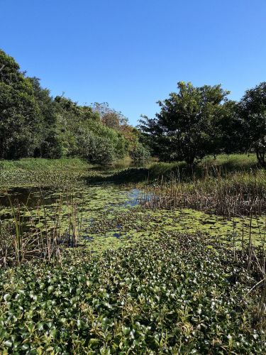 昌江海尾湿地公园