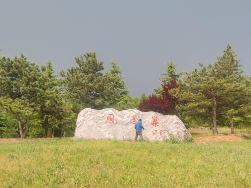 凤还巢郊野公园