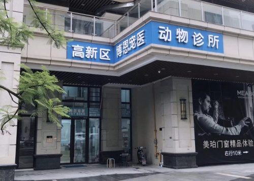 高新区博恩宠医动物诊所