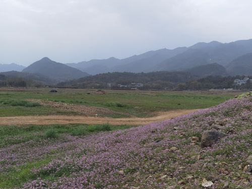 花海世界