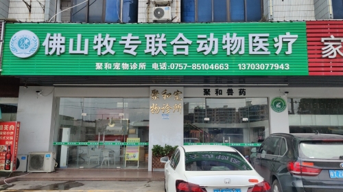 佛山牧专联合动物医院