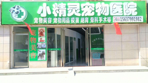 小精灵宠物医院