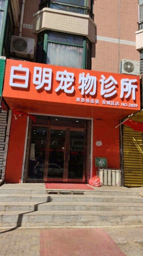 白明宠物诊所(派多格)