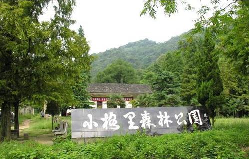 小格里森林公园