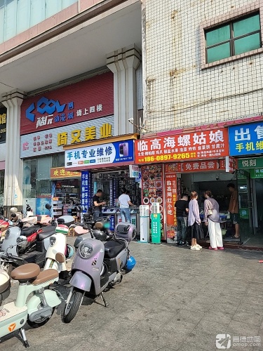 临高海螺姑娘