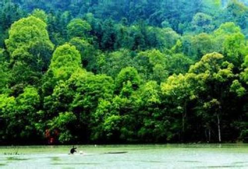三湾国家森林公园