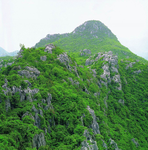 三衢石林风景区