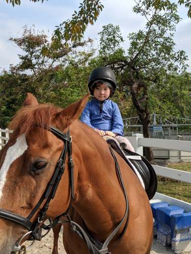 Beas River Country Club Stable Paddock双鱼河乡村会所马房沙圈