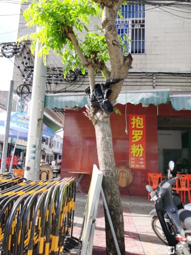 正宗抱罗粉(文政路店)
