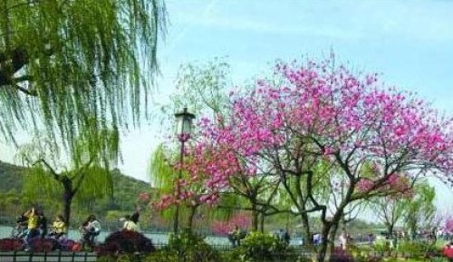 天元公园