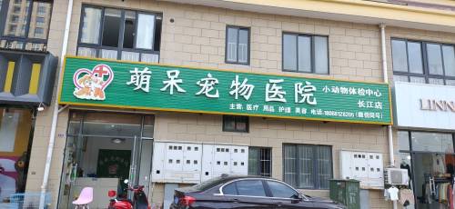 如皋市萌呆宠物医院