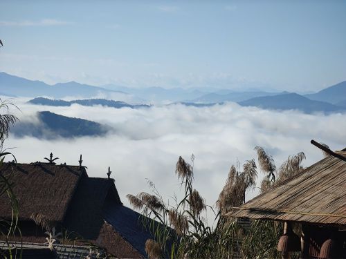 普洱景迈山古茶林景区