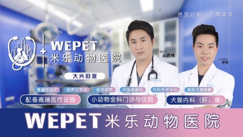 米乐动物医院