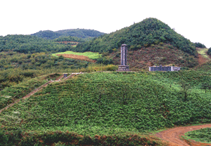 赫章国家森林公园