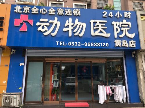 北京全心全意连锁动物医院(黄岛店)