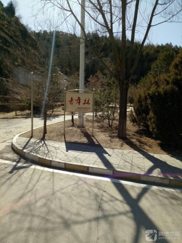 娄烦森林公园-青年林
