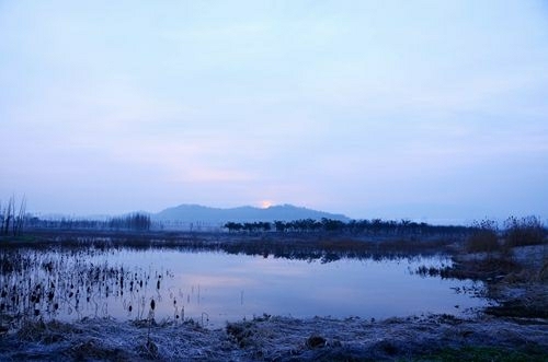 池州生态湿地公园