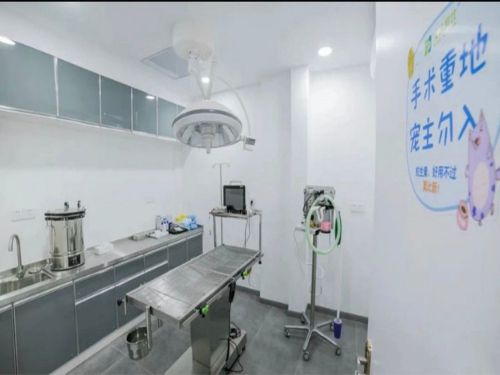 南京怡洁宠物医院(毕洼西路店)
