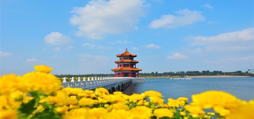 泰山花海景区