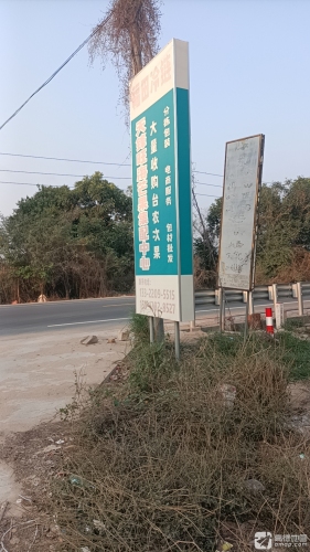 天锋旺海芒果集配中心