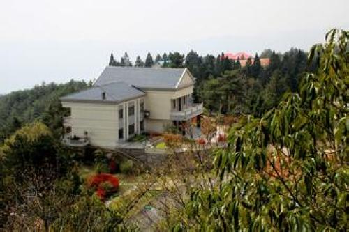 挪步园