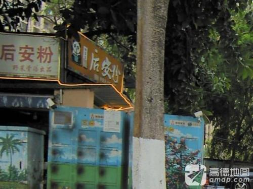 三叔正宗后安粉·野菜骨汤