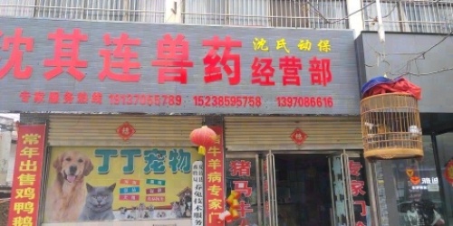 夏邑沈氏动保丁丁宠物