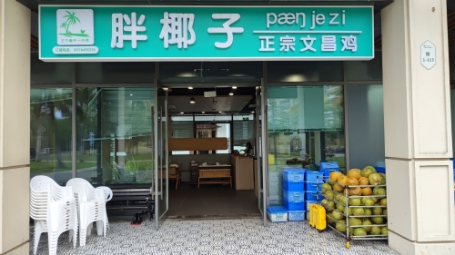 胖椰子正宗文昌鸡