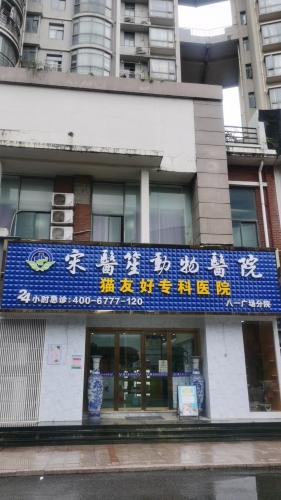 宋医生动物医院猫专科医院