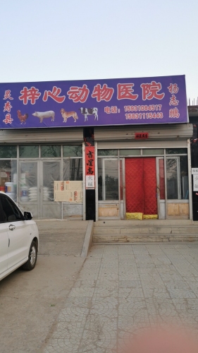 梓心动物医院